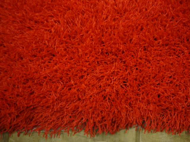 Red Shaggy Rug