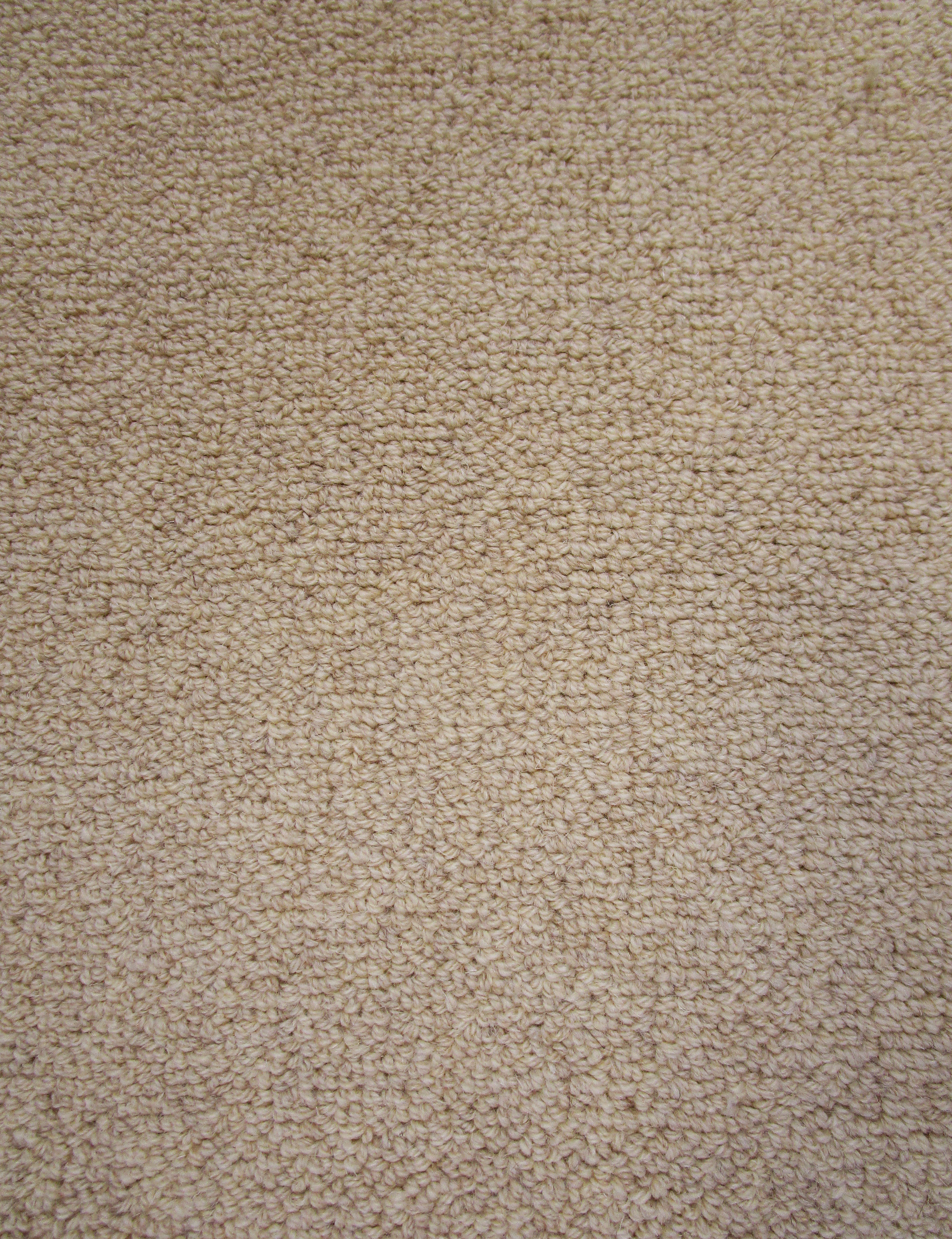 Z3 Sand Taupe Eco Friendly Loop Pile Wool Rug / Carpet 